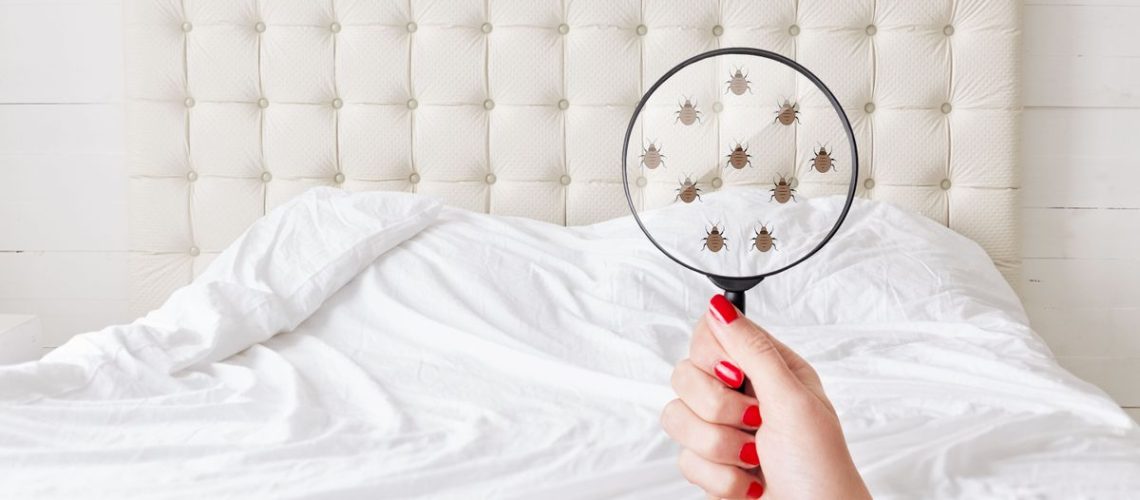 A person holds a magnifying glass to a mattress to see the bed bugs crawling beneath