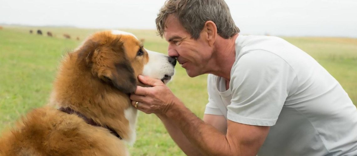 Dennis Quaid as Ethan Montgomery in "A Dog
