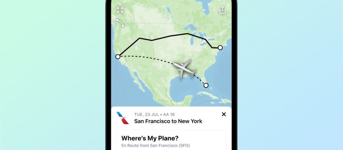 Flighty app on iPhone