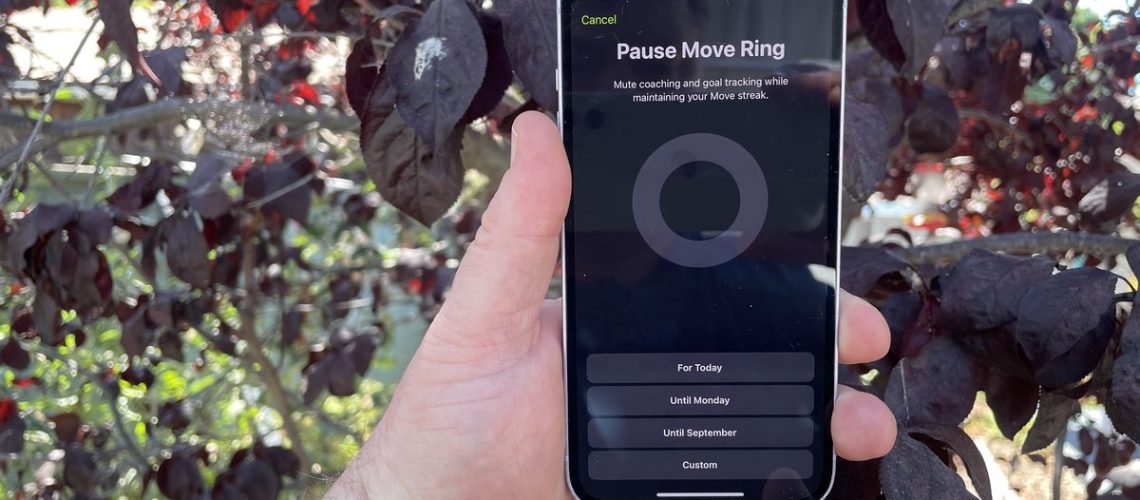 Paused Move Ring in iOS 18 fitness app on an iPhone screen