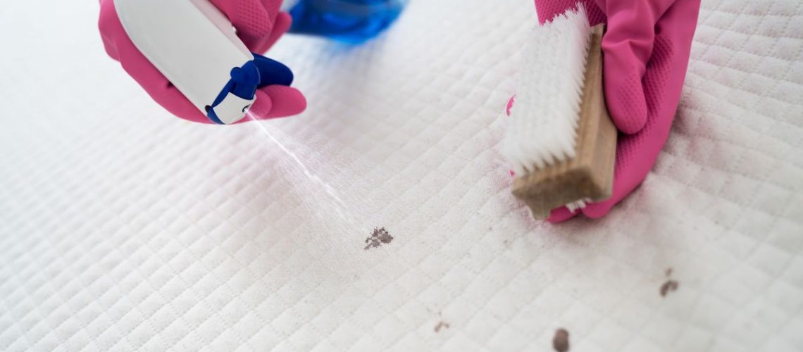 Cleaning a mattress with a brush to get rid of dried blood
