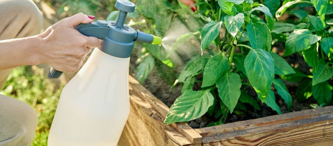 How to make homemade bug repellent