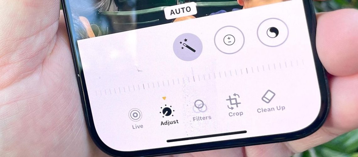 Clean Up tool in Photos app running on ios 18.1