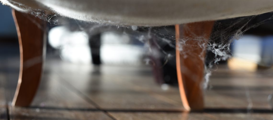 Cobweb underneath armchair on a wooden floor