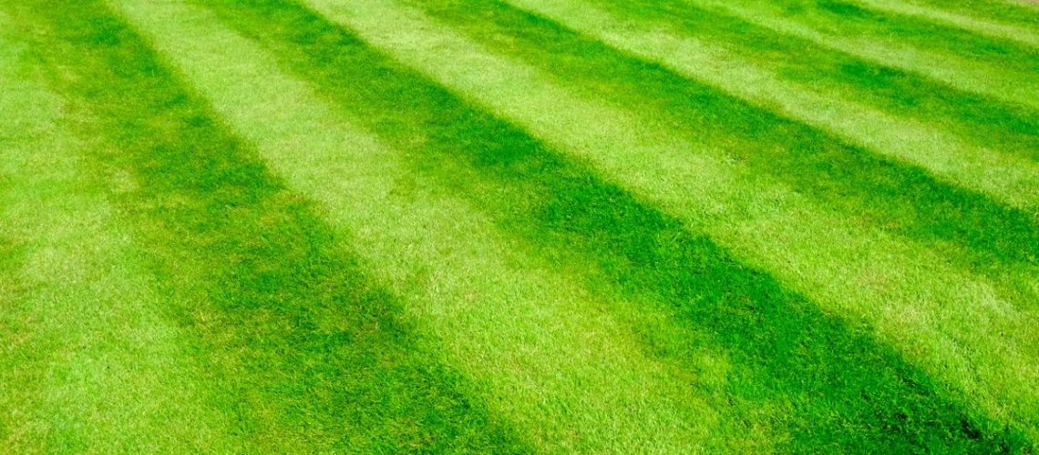 Striped lawn