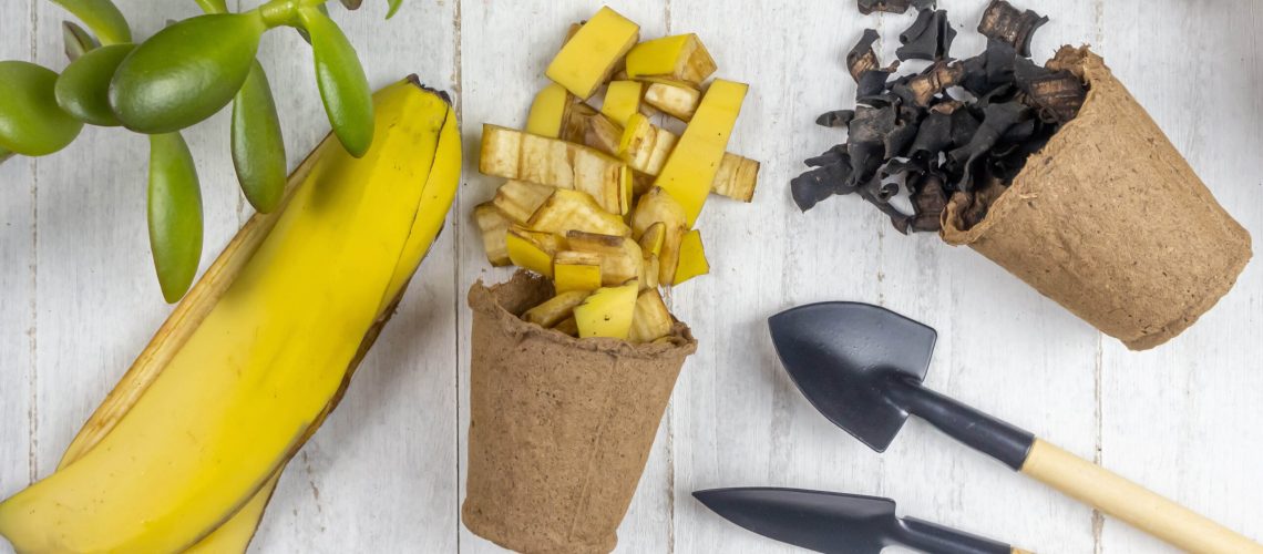 Banana peels for compost