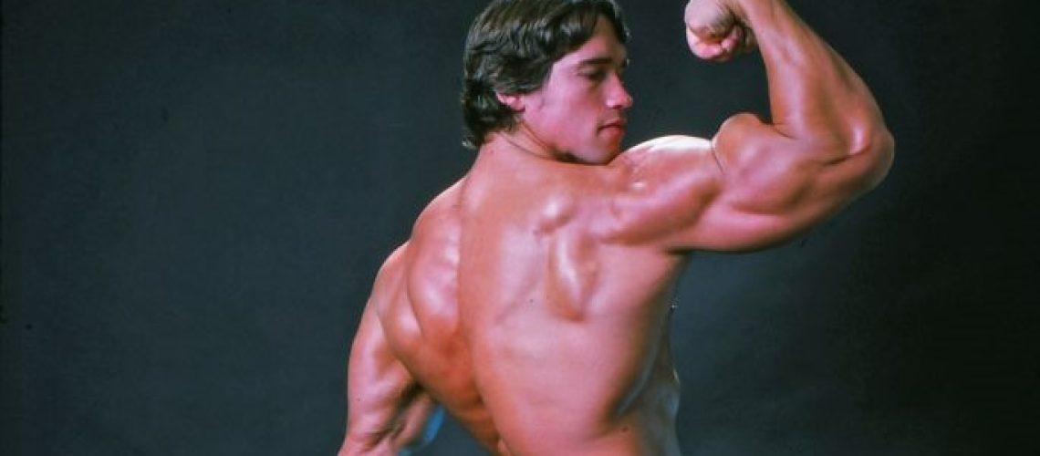 A photo of arnold schwarzenegger