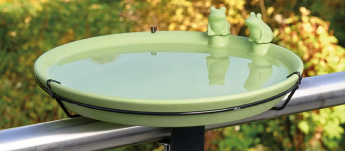 Aldi Belavi Bird drinking trough with frogs