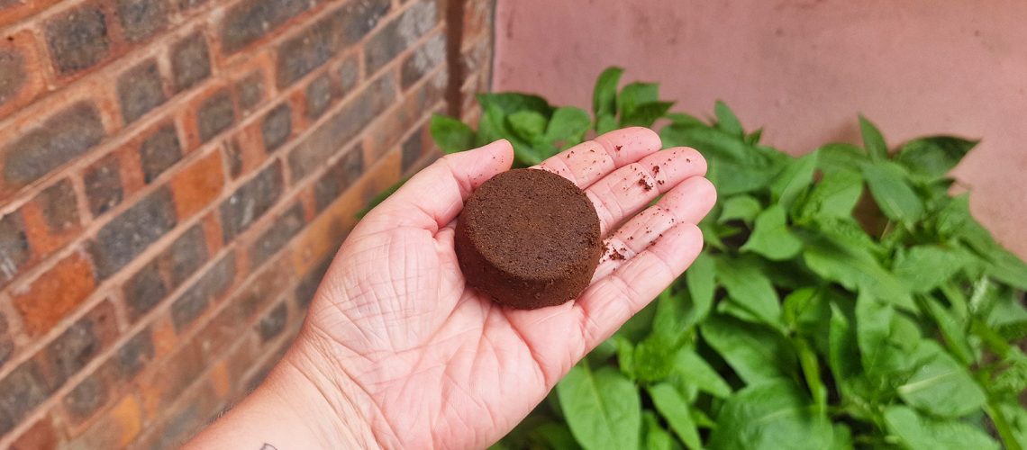 Used coffee puck in hand