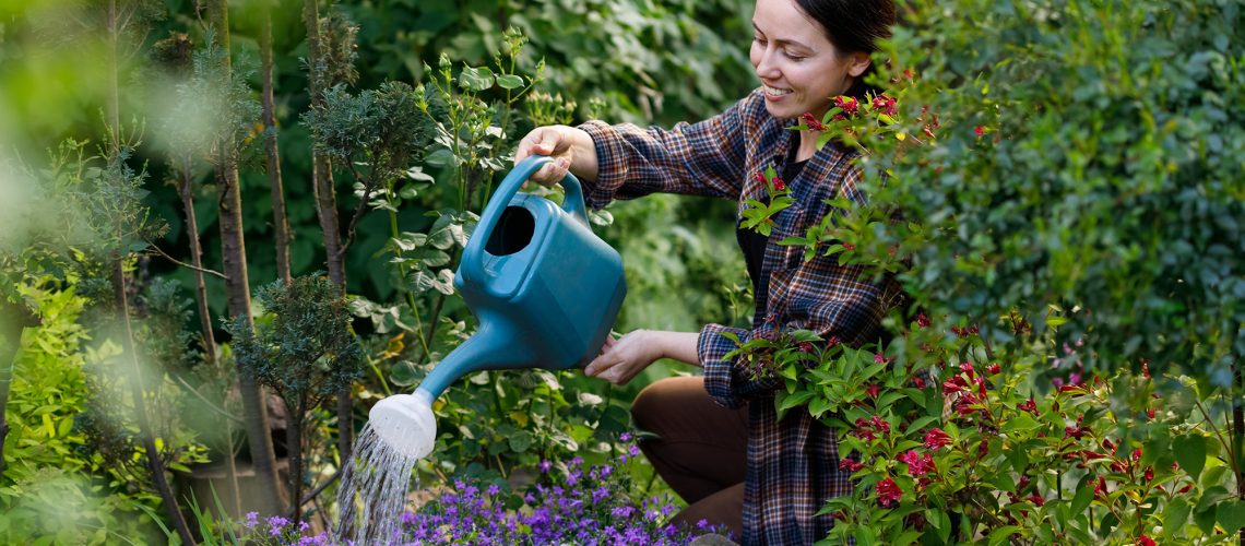 Woman watering flowerbeds