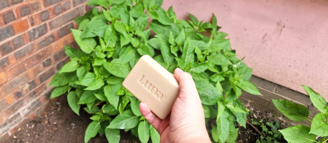 A bar of soap in front of a plant