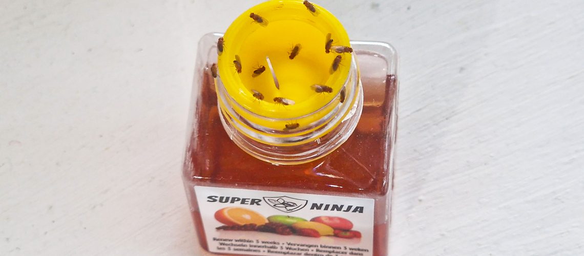 Super Ninja fruit fly trap on a white window ledge