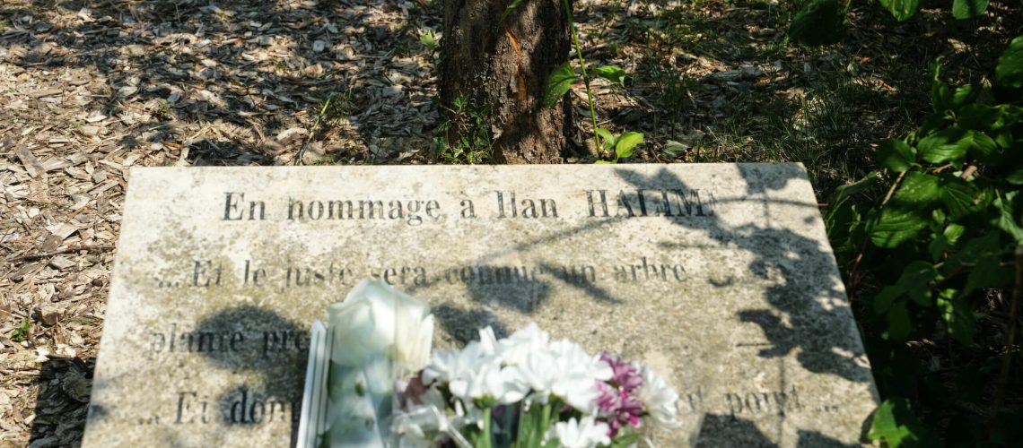 אם אנטישמיט קוצץ עץ זיכרון בפריס, איך נדע שהוא משמיע צליל?