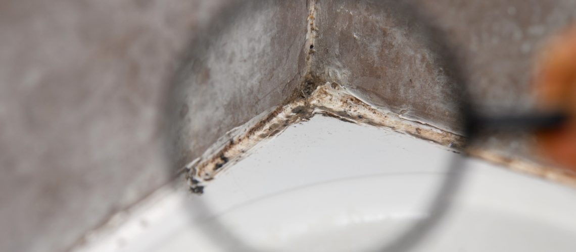 Mold growing in a tub