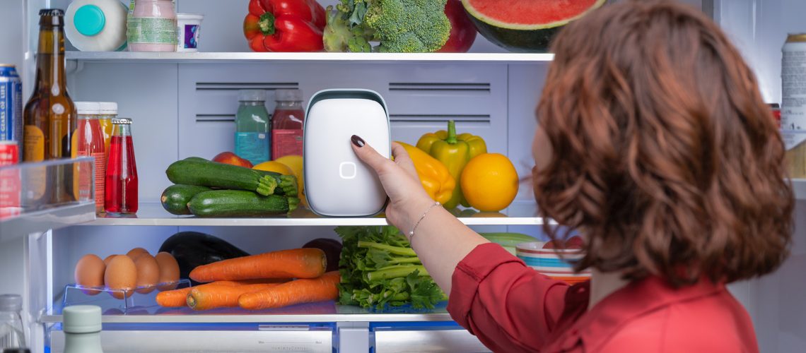 Vitesy Shelfy new model