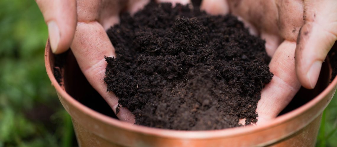 האם אוכל לשמור את אדמת העציץ המשומשת שלי לאביב, או שעלי לזרוק אותה? הנה מה שאתה צריך לדעת