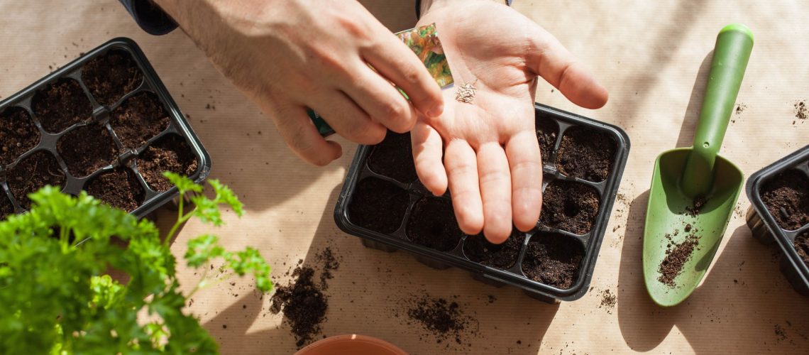 פריצה ויראלית זו תחסוך לך מקום רציני לשתילת האביב שלך - וזה יעלה לך פחות מ-20 דולר