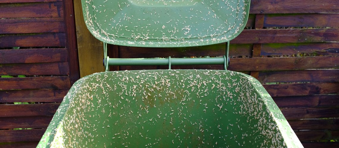 עצור 'מיץ אשפה' מלהפוך את פח האשפה שלך לחוות רימות עם התיקון הזה של $1