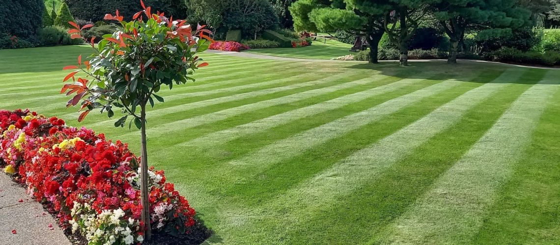 how to get the perfect lawn stripes