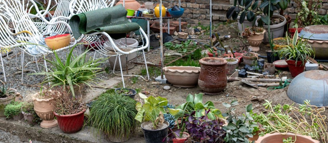 5 דברים שגורמים לחצר האחורית שלך להיראות מבולגנת - ואיך לתקן את זה במהירות