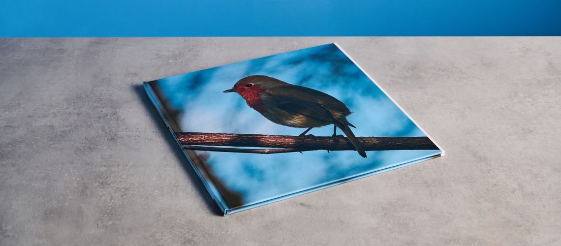 Blurb photo book photographed on a table in front of a blue background