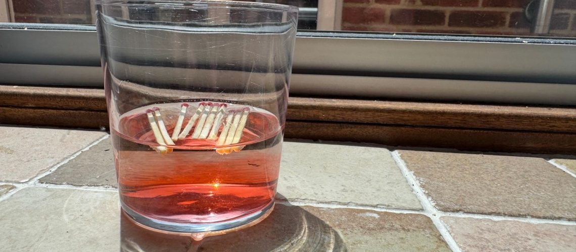 Using matches to make a fertilizer water for the garden