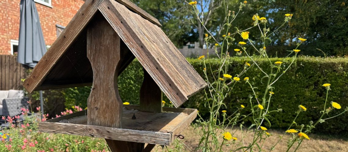 A bird feeder in a garden