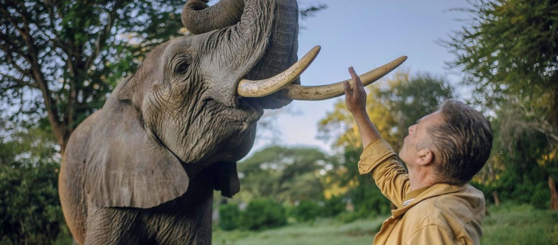 Chris Packham interacting with an elephant in Evolution