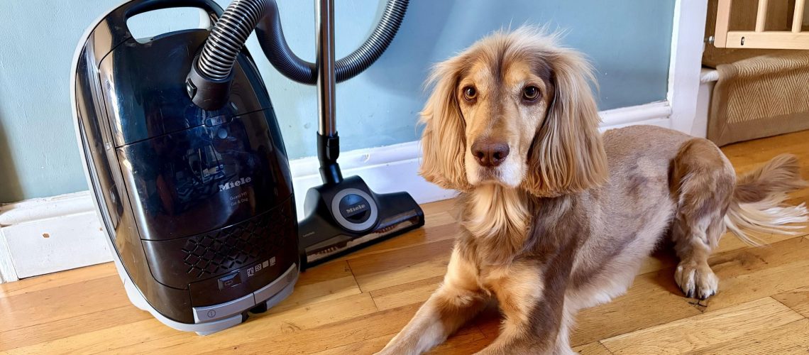 סקירת Miele Guard M1 Cat and Dog Flex: תקן הזהב לשיער חיות מחמד מאת ג'יין מקגווייר פורסם ב-16 ביולי 26 בחירת העורך הנחנו את Miele Guard M1 Cat and Dog Flex למבחן