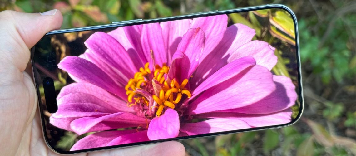 השתמשתי באייפון שלי בתור Pokédex אמיתי כדי לסרוק כל באג בגינה שלי בקיץ הזה