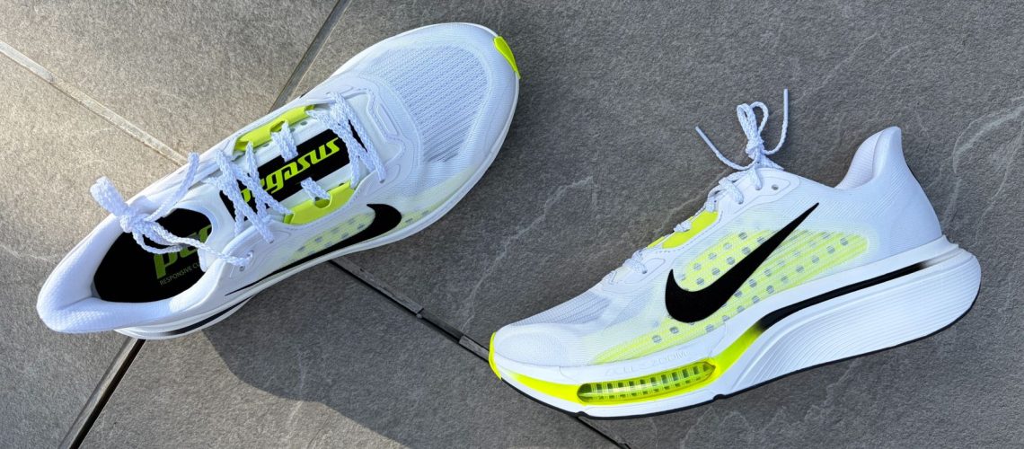 Nike Pegasus Plus 2