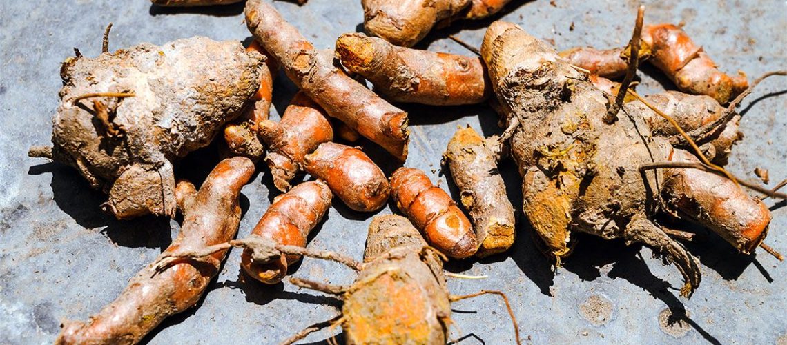 6 תוספי צמחים פופולריים הקשורים לסיכוני כבד פוטנציאליים