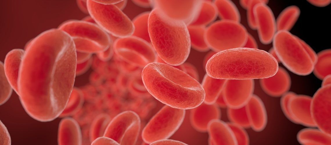 Study: Efficient deep learning-based approach for malaria detection using red blood cell smears. Image Credit: cones/Shutterstock.com