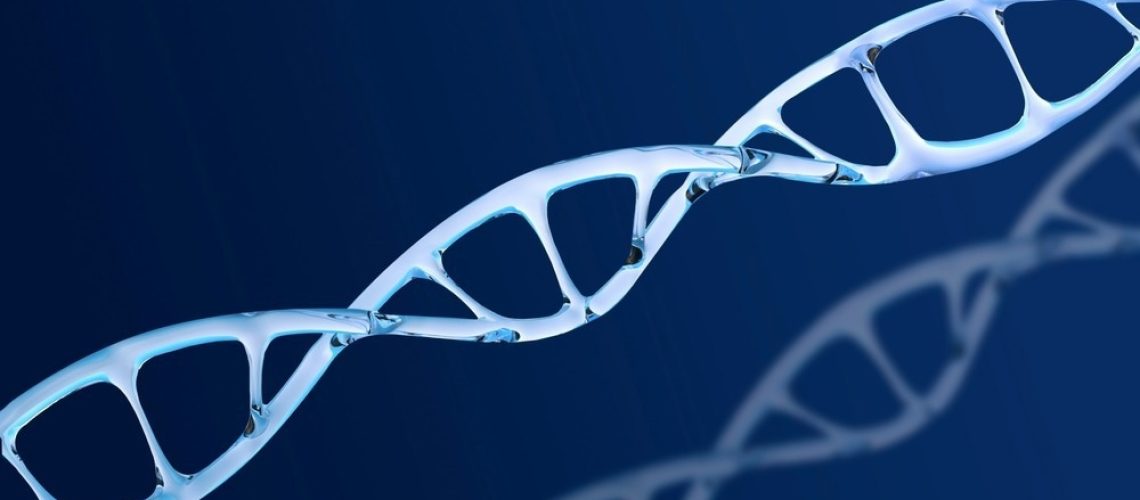 Image Credit: Kittyfly/Shutterstock.com