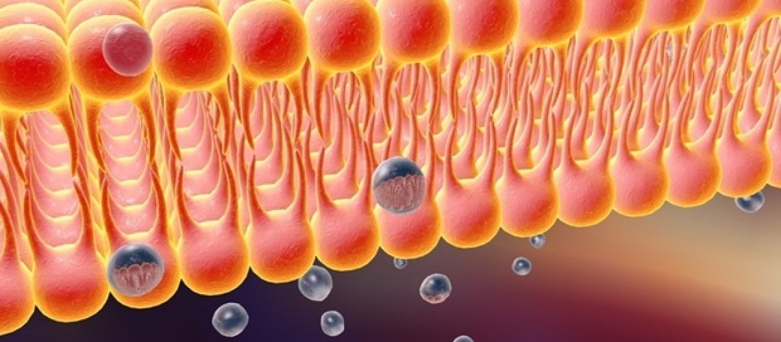 Axxam ו- B'sys שותפים להרחבת הגישה לקווי תאי תעלות יון מאומתים לאלקטרופיזיולוגיה בעלת תפוקה גבוהה