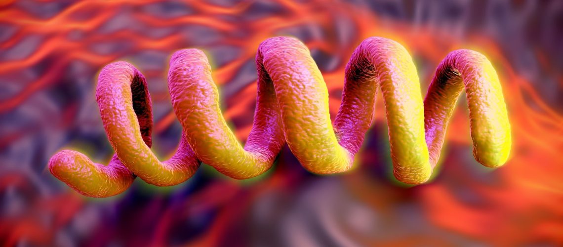 CDC Laboratory Recommendations for Syphilis Testing, United States, 2024. Image Credit: Peddalanka Ramesh Babu / Shutterstock