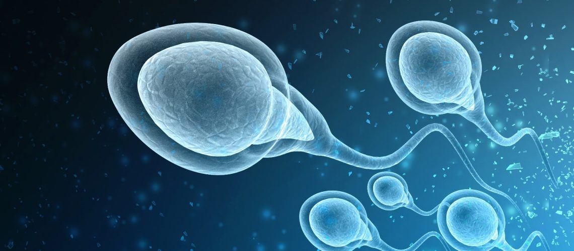 Study: SARS-CoV-2 impairs male fertility by targeting semen quality and testosterone level: A systematic review and meta-analysis. Image Credit: WHITE MARKERS / Shutterstock