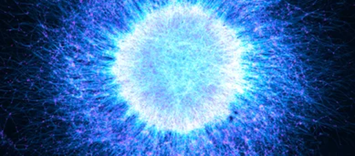 EVIDENT מכריזה על זוכי פרס תמונת השנה השנתית השישית