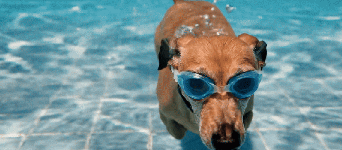 Google Veo 2 הוא אחד מדגמי וידאו AI הטובים ביותר שראיתי אי פעם - הנה 5 דוגמאות למה שהוא יכול לעשות