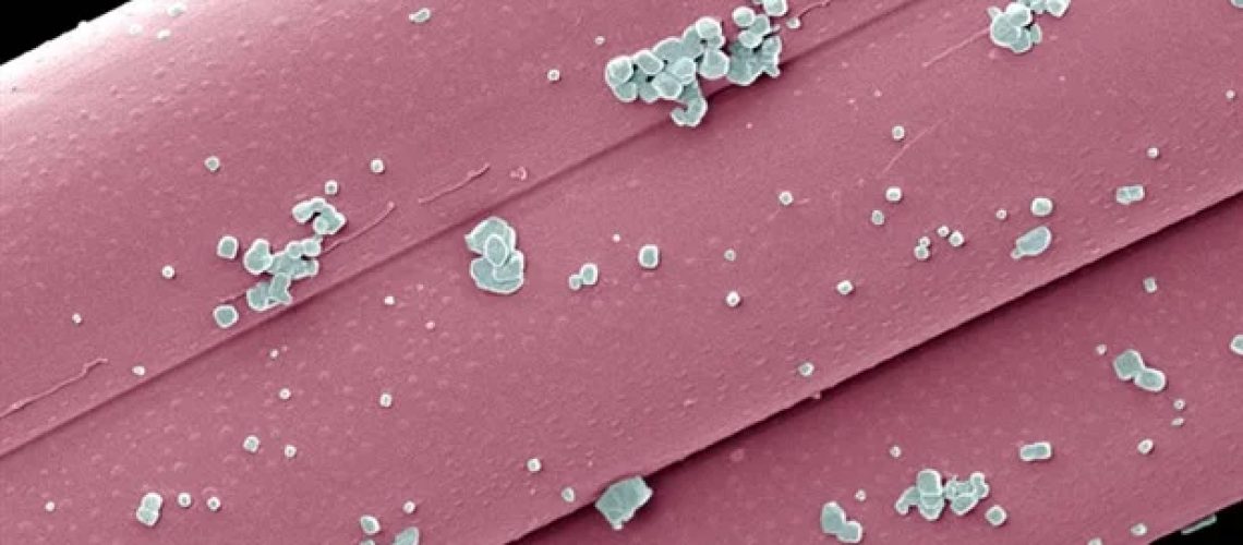 Mayo Clinic משתפת פעולה עם ניו פאזה בע"מ להתקנת מכונת היפרתרמיה ננו-חלקיקים מגנטית לחקר הסרטן