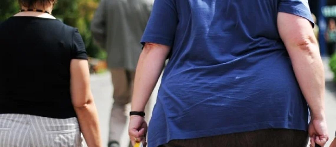 RNA-seq חד-תא חושף את תפקידו של FBLN7 בפיברוזיס של רקמת שומן