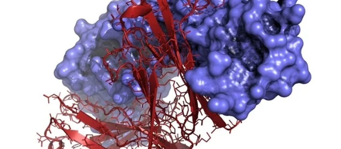 Refeyn משיקה מכשיר MyMass כדי לפשט הערכת איכות מדגם עבור ביולוגיה מבנית