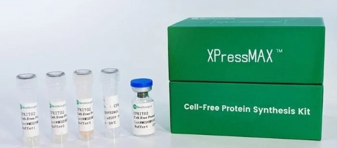 Sino Biological משיקה את ערכת סינתזת חלבון ללא תאים XPressMAX™, המאיץ את גילוי תרופות נוגדנים עם תפוקה גבוהה המופעלת על ידי בינה מלאכותית