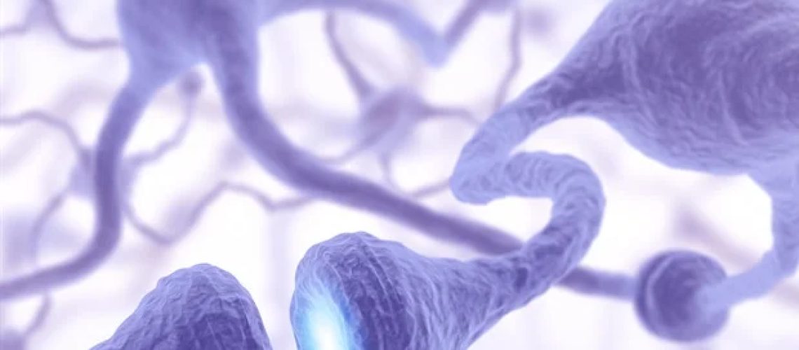 Superagers מראים צמיחת נוירונים גדולה יותר הקשורה לזיכרון חזק