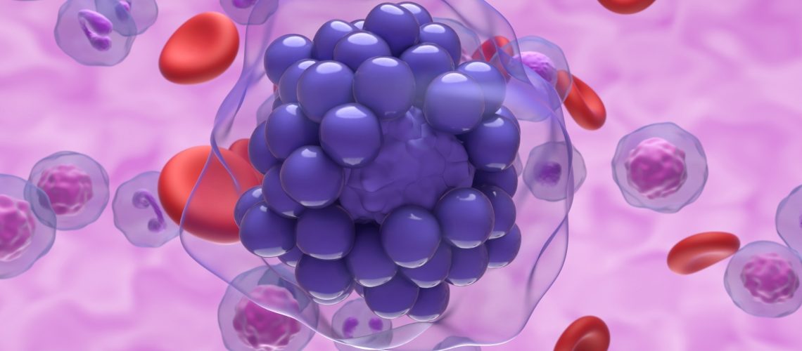 Study: Gα13 restricts nutrient-driven proliferation in mucosal germinal centers. Image Credit: Nemes Laszlo / Shutterstock.com