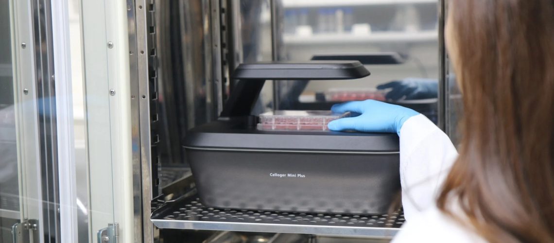 Automation in cell-based workflows