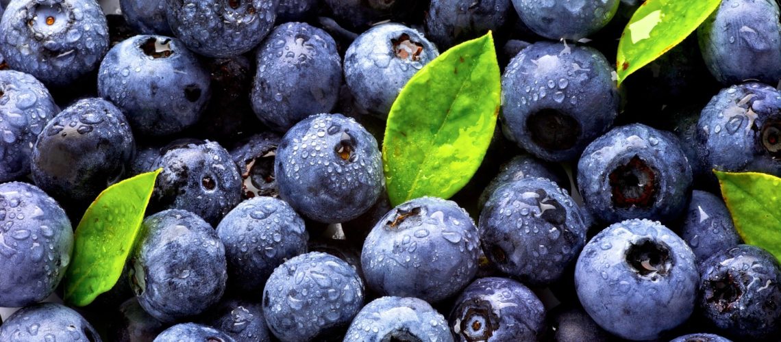 Study: Chronic and postprandial effect of blueberries on cognitive function, alertness, and mood in participants with metabolic syndrome – results from a six-month, double-blind, randomized controlled trial. Image Credit: matin / Shutterstock