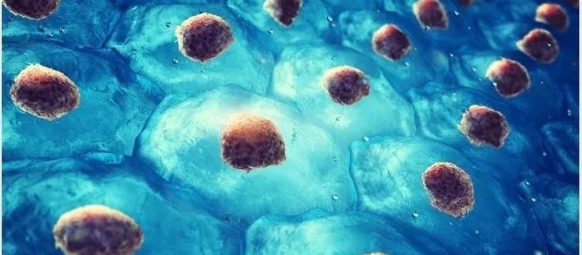 Image Credit: nobeastsofierce/Shutterstock.com