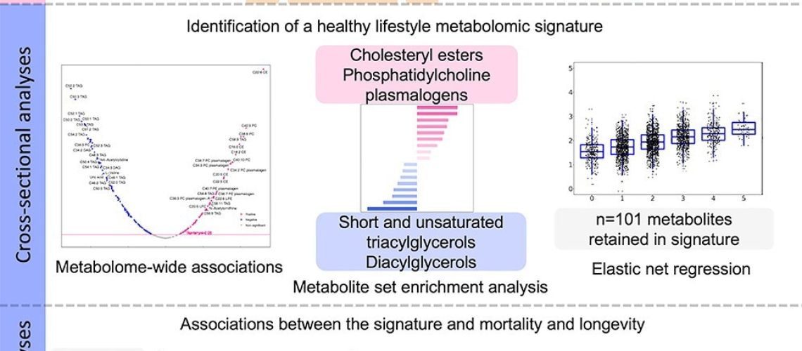 אורח חיים בריא מקושר לסמנים מטבוליים ספציפיים, כך עולה ממחקר גדול