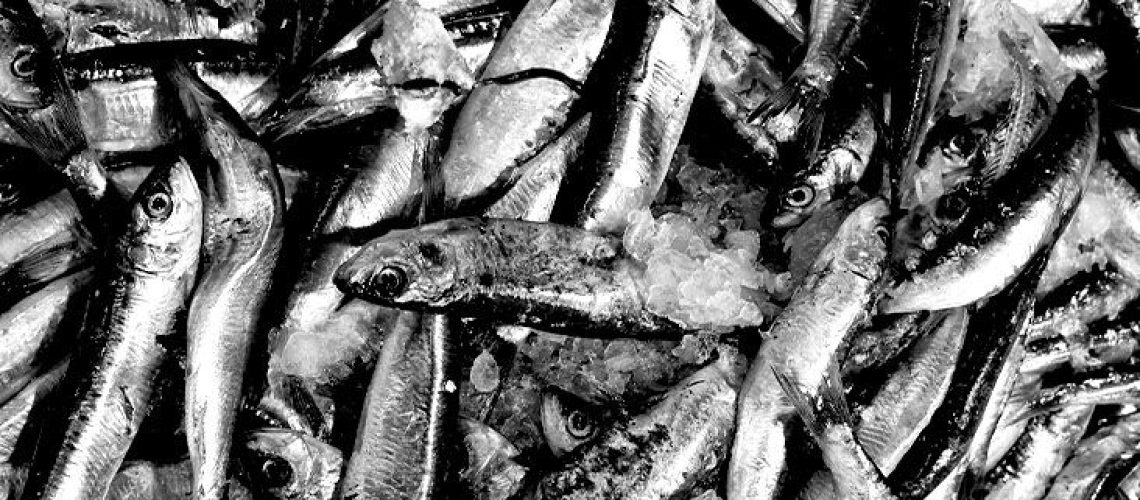 איזה סוג של דיאטת קטו עשויה להגביר את מניעת סרטן הריאות?